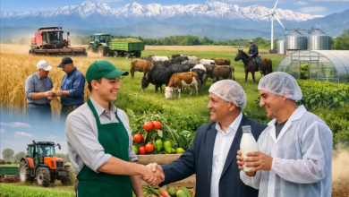 Photo of ЖЕРГІЛІКТІ КӘСІПКЕРЛІКТІ ДАМЫТУ – САУРАННЫҢ ЭКОНОМИКАЛЫҚ ӘЛЕУЕТІН АРТТЫРУДЫҢ ЖОЛЫ