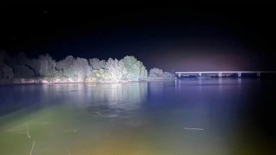 Photo of ТҮРКІСТАН ОБЛЫСЫНДА БІР ҮЙДІҢ ЕКІ БАЛАСЫ СЫРДАРИЯДА СУҒА КЕТТІ